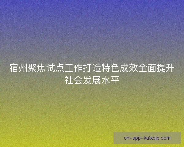 宿州聚焦试点工作打造特色成效全面提升社会发展水平