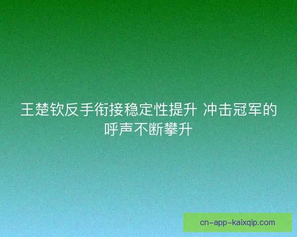 王楚钦反手衔接稳定性提升 冲击冠军的呼声不断攀升 王楚钦反手衔接稳定性提升 冲击冠军的呼声不断攀升